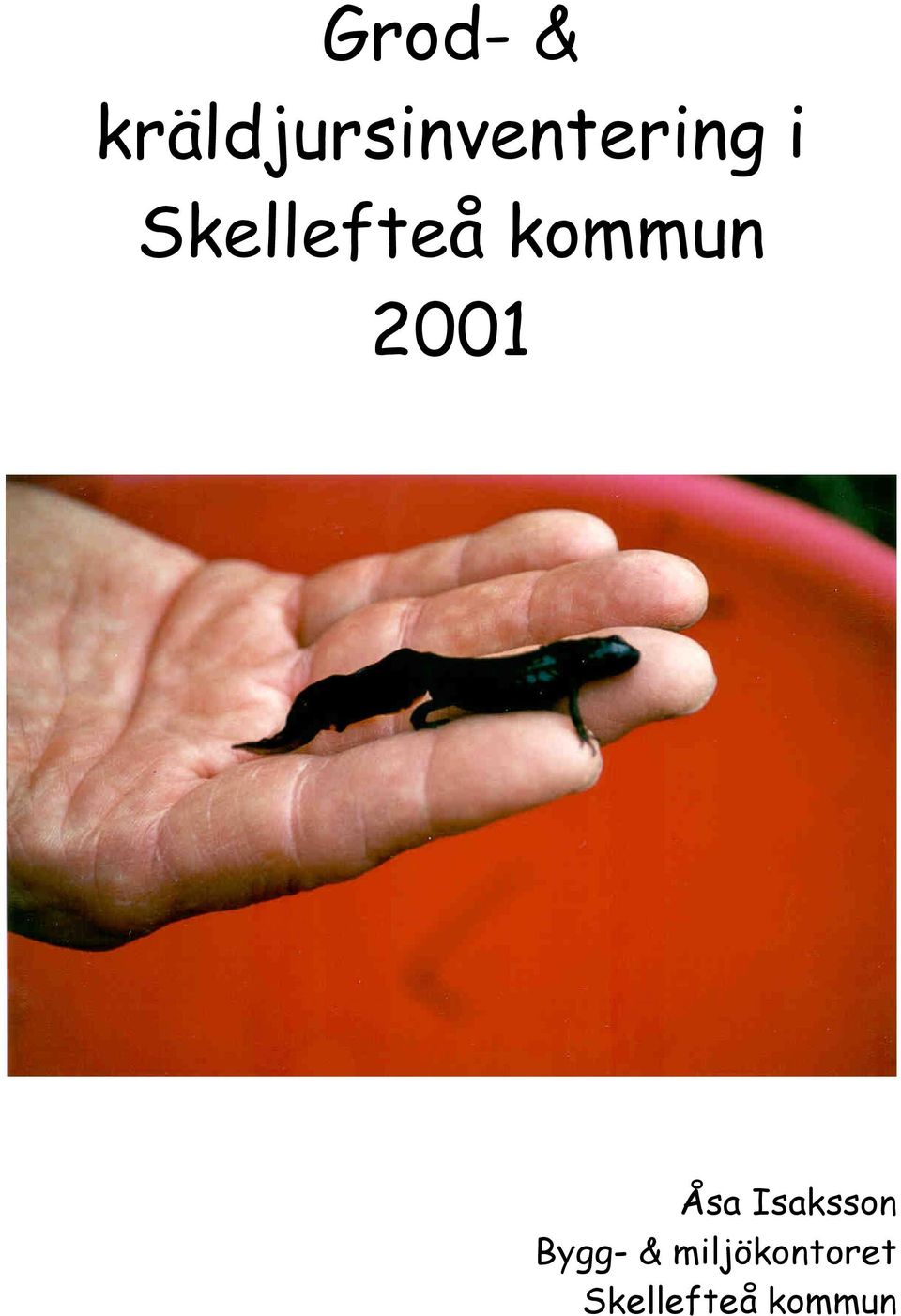 Skellefteå kommun 2001 Åsa