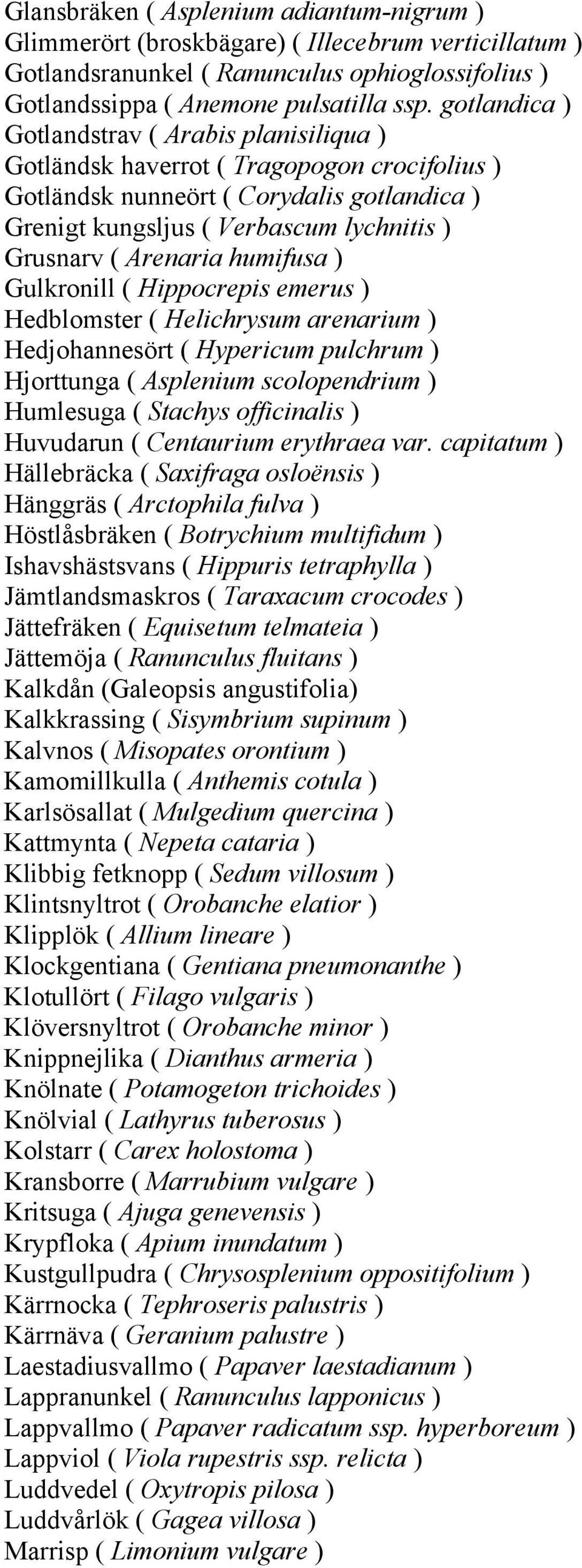 Arenaria humifusa ) Gulkronill ( Hippocrepis emerus ) Hedblomster ( Helichrysum arenarium ) Hedjohannesört ( Hypericum pulchrum ) Hjorttunga ( Asplenium scolopendrium ) Humlesuga ( Stachys