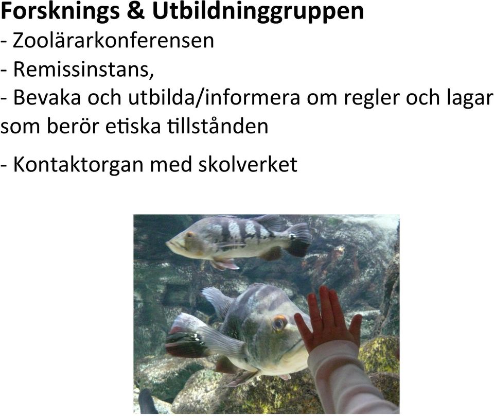 Bevaka och utbilda/informera om regler och