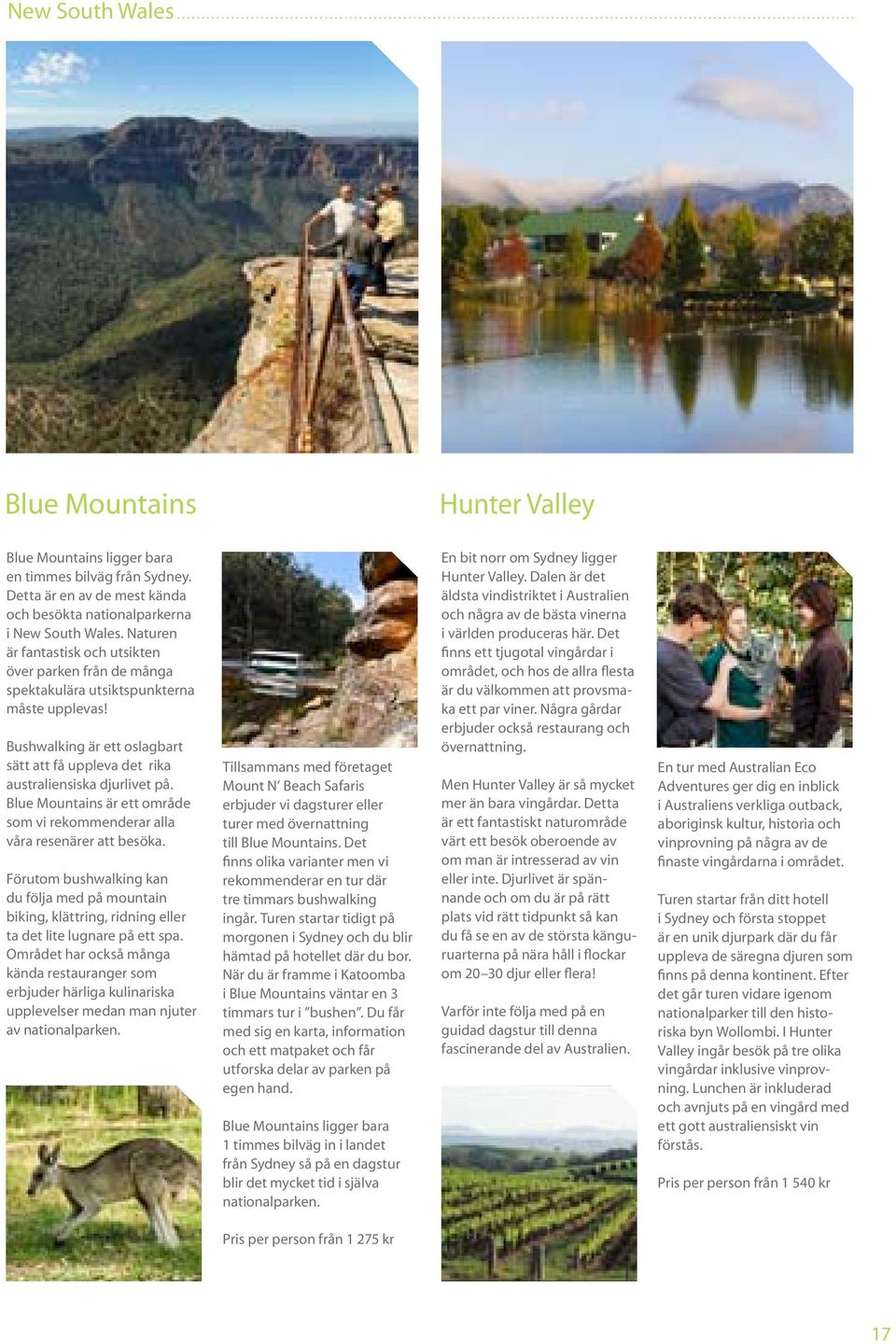 Blue Mountains är ett område som vi rekommenderar alla våra resenärer att besöka. Förutom bushwalking kan du följa med på mountain biking, klättring, ridning eller ta det lite lugnare på ett spa.