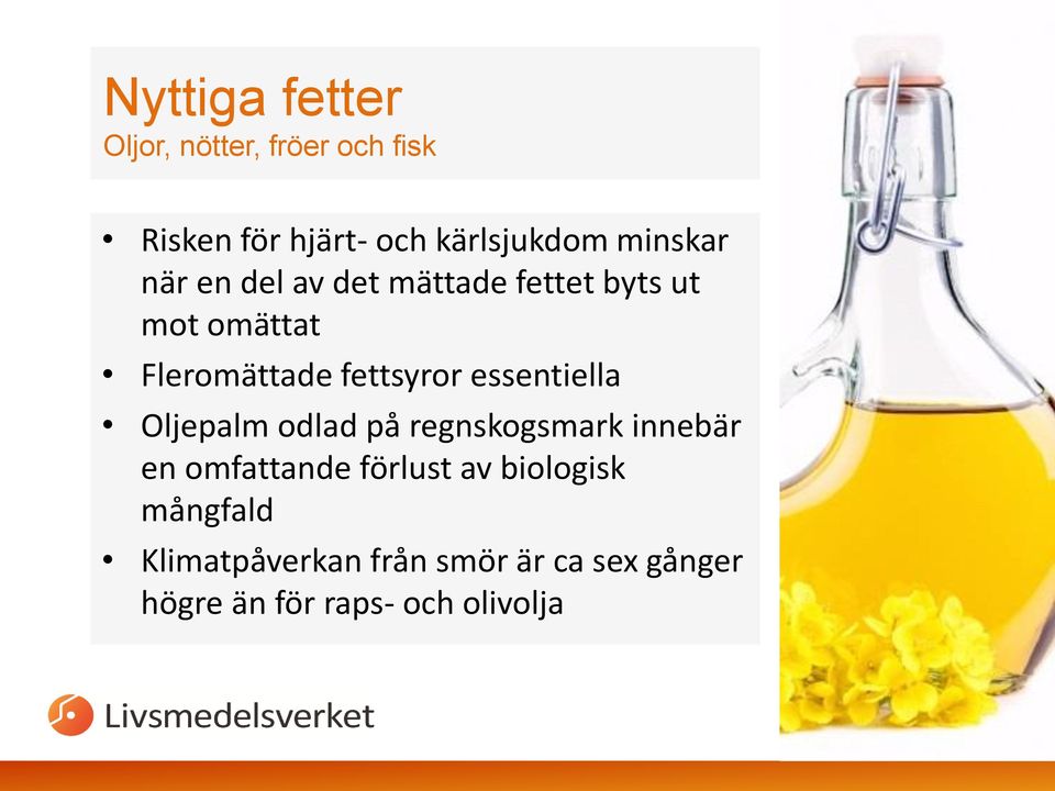fettsyror essentiella Oljepalm odlad på regnskogsmark innebär en omfattande