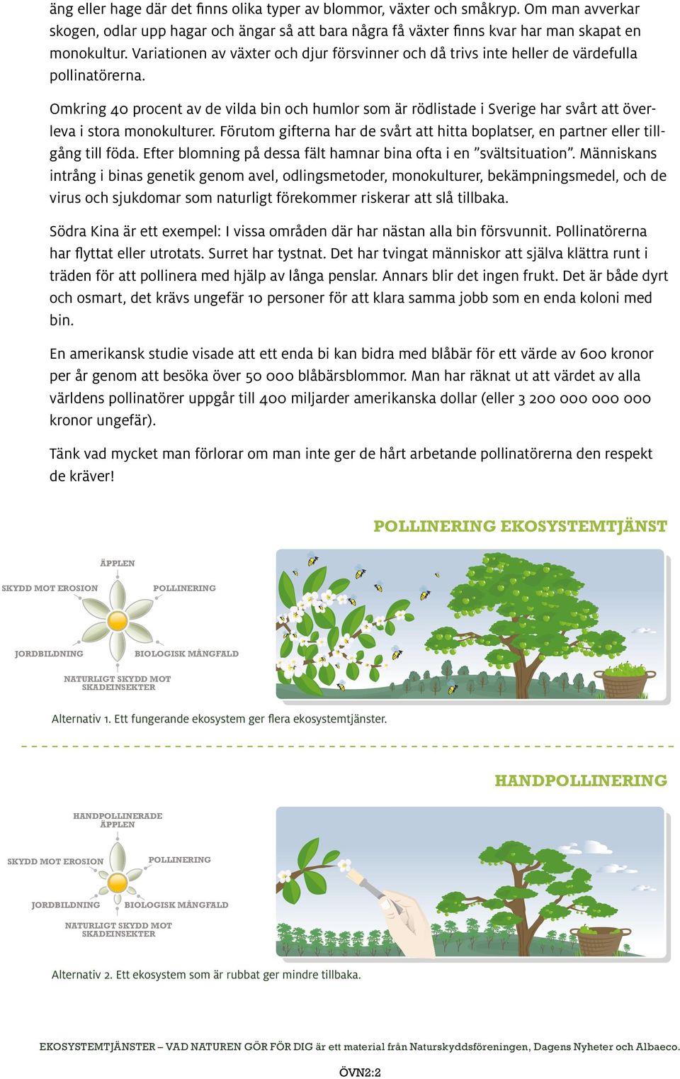 Omkring 40 procent av de vilda bin och humlor som är rödlistade i Sverige har svårt att överleva i stora monokulturer.