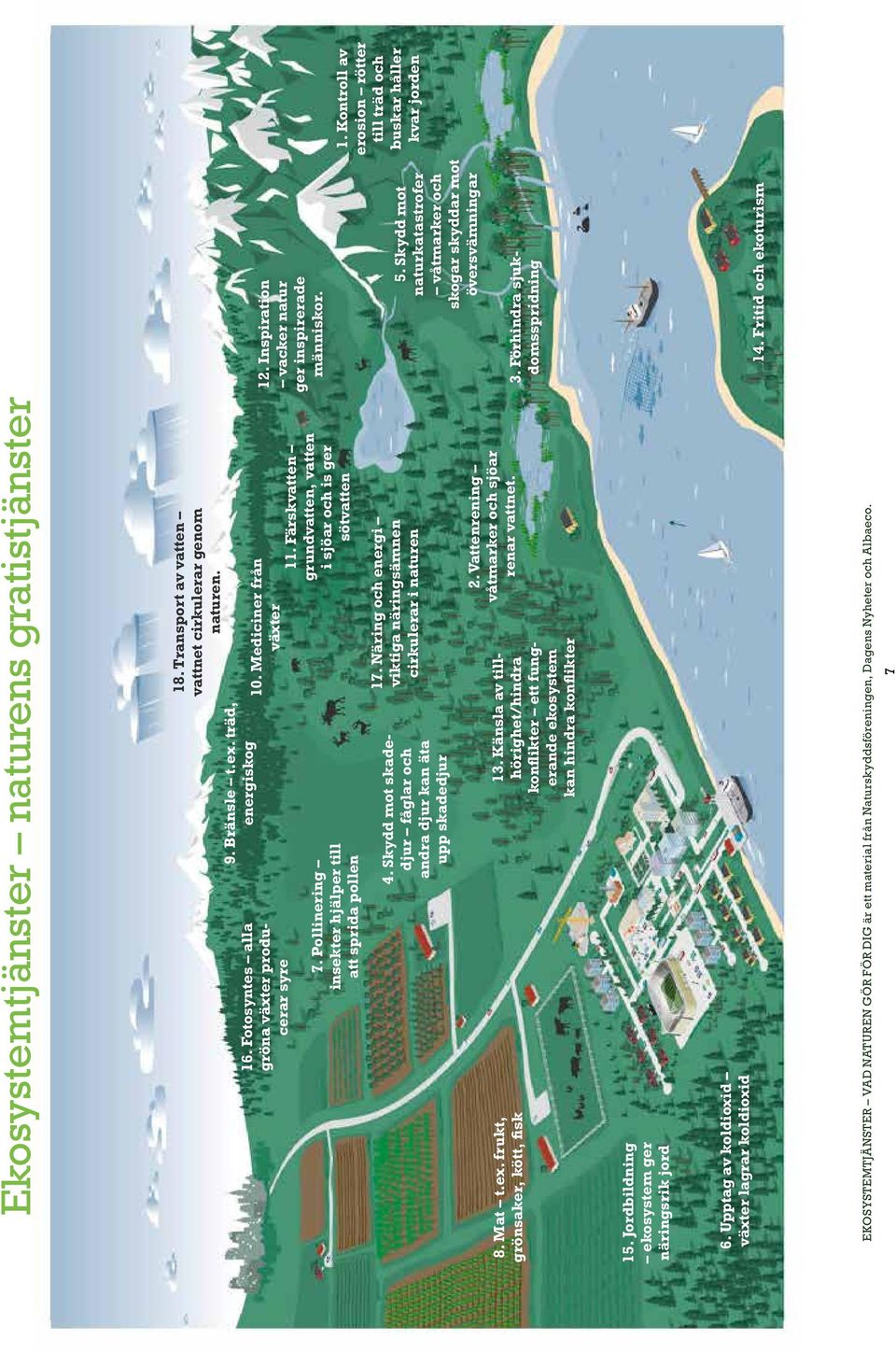 Näring och energi viktiga näringsämnen cirkulerar i naturen 11. Färskvatten grundvatten, vatten i sjöar och is ger sötvatten 8. Mat t.ex. frukt, grönsaker, kött, fisk 13.