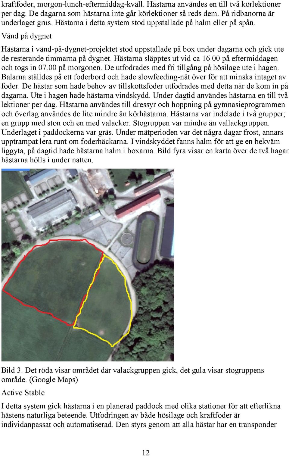 Hästarna släpptes ut vid ca 16.00 på eftermiddagen och togs in 07.00 på morgonen. De utfodrades med fri tillgång på hösilage ute i hagen.