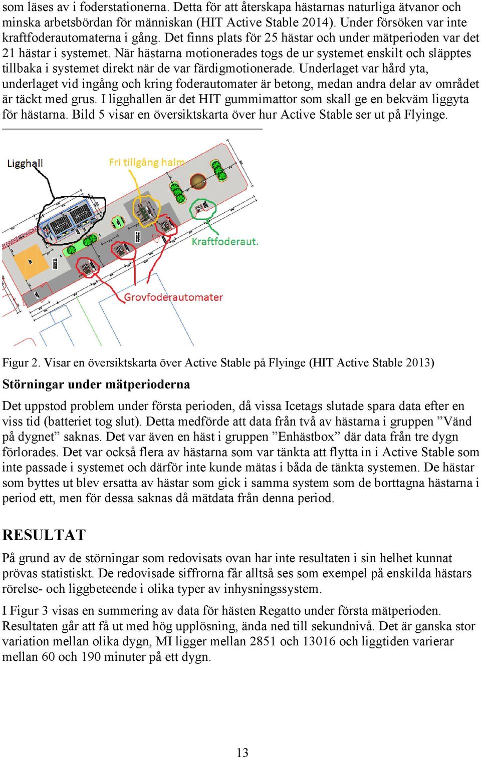 När hästarna motionerades togs de ur systemet enskilt och släpptes tillbaka i systemet direkt när de var färdigmotionerade.