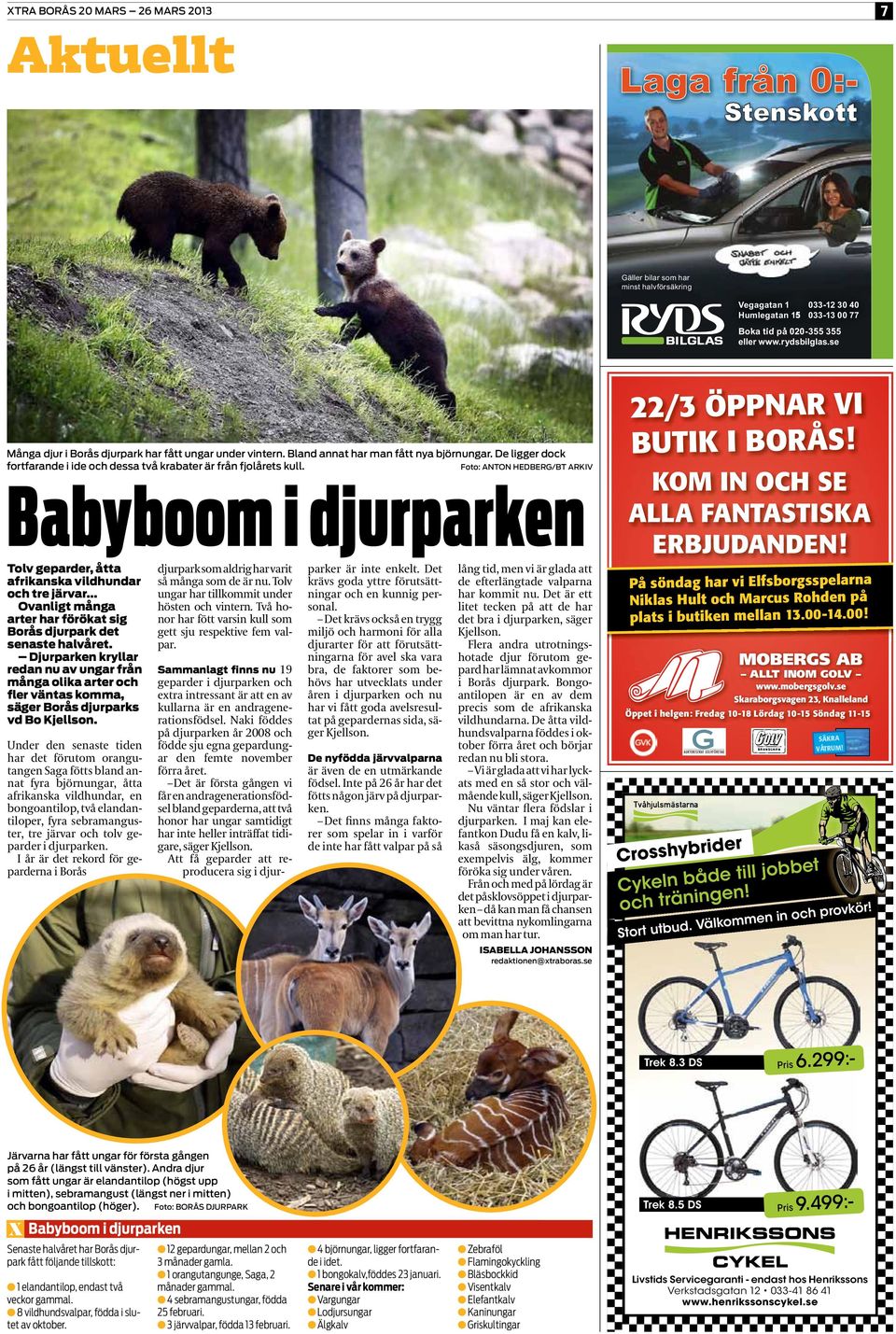 Foto: ANTON HEDBERG/BT ARKIV Babyboom i djurparken Tolv geparder, åtta afrikanska vildhundar och tre järvar... Ovanligt många arter har förökat sig Borås djurpark det senaste halvåret.