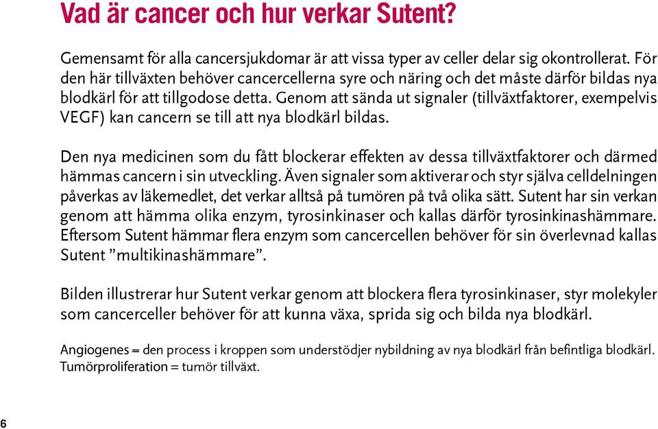 Genom att sända ut signaler (tillväxtfaktorer, exempelvis VEGF) kan cancern se till att nya blodkärl bildas.