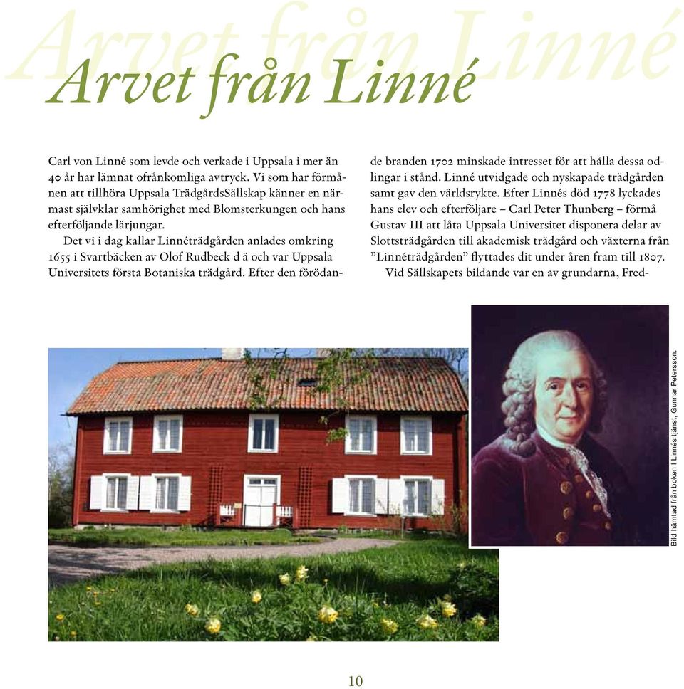 Det vi i dag kallar Linnéträdgården anlades omkring 1655 i Svartbäcken av Olof Rudbeck d ä och var Uppsala Universitets första Botaniska trädgård.