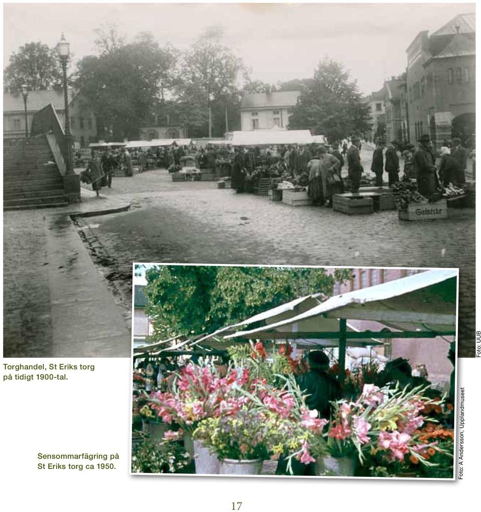 Sensommarfägring på St Eriks torg