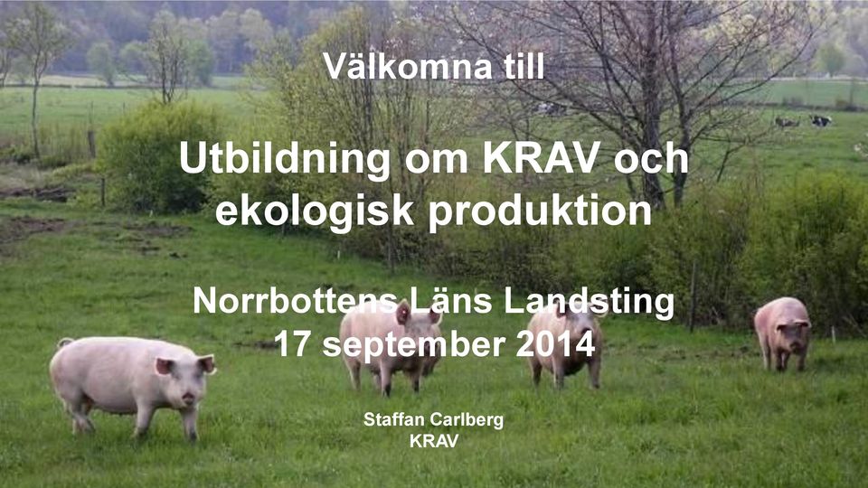 Norrbottens Läns Landsting 17