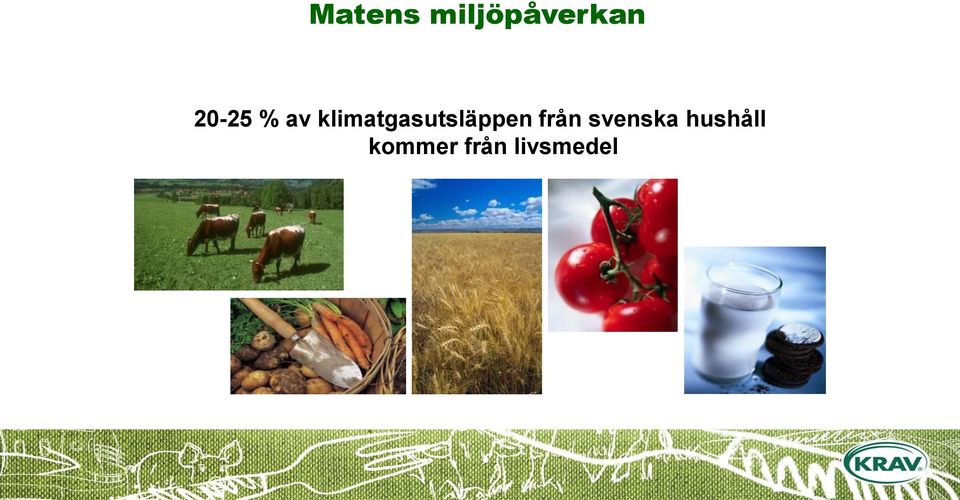 klimatgasutsläppen från