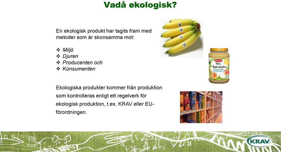 mot: Miljö Djuren Producenten och Konsumenten Ekologiska produkter