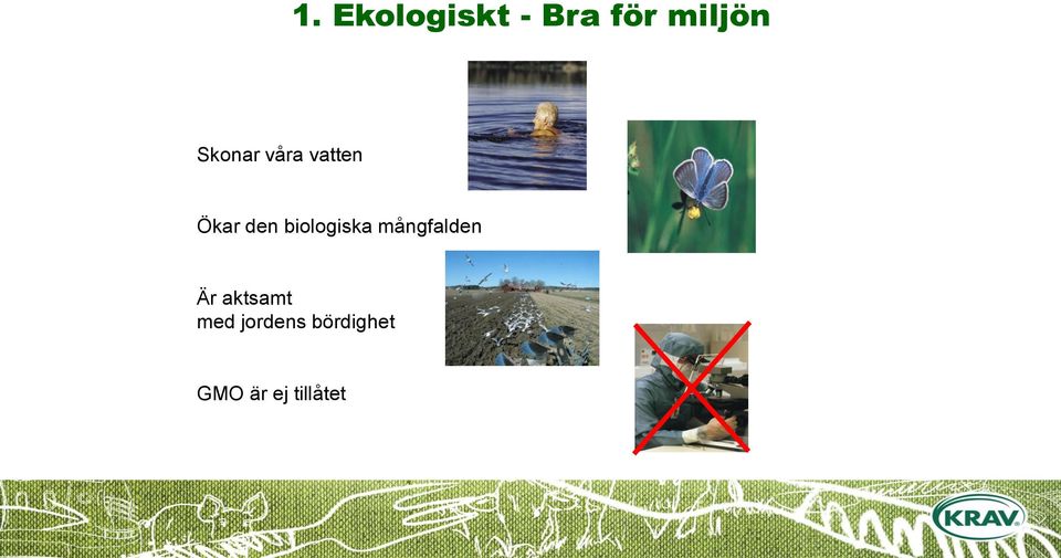 biologiska mångfalden Är aktsamt