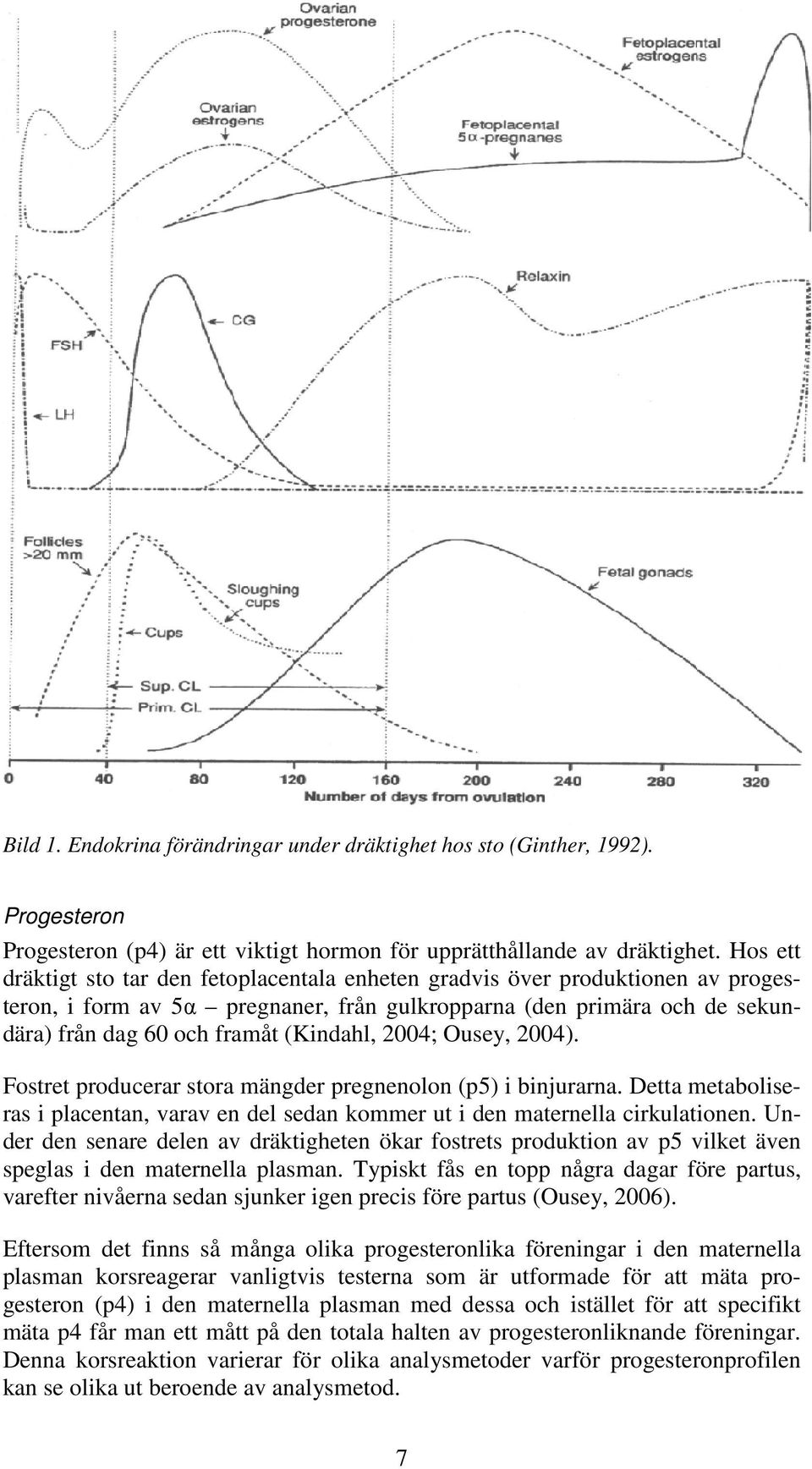 2004; Ousey, 2004). Fostret producerar stora mängder pregnenolon (p5) i binjurarna. Detta metaboliseras i placentan, varav en del sedan kommer ut i den maternella cirkulationen.