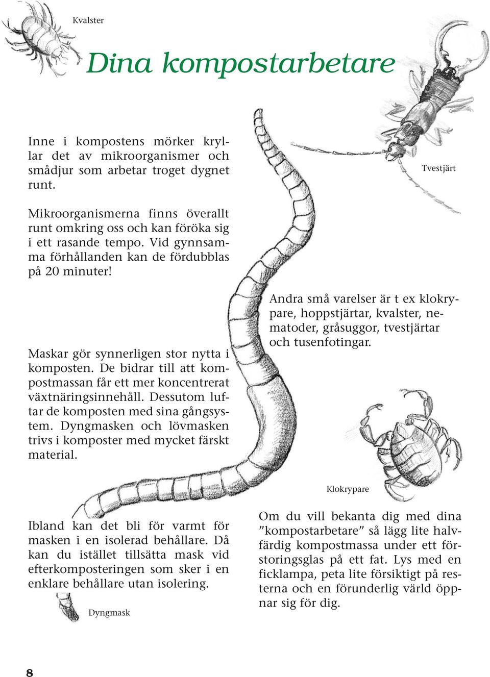 Maskar gör synnerligen stor nytta i komposten. De bidrar till att kompostmassan får ett mer koncentrerat växtnäringsinnehåll. Dessutom luftar de komposten med sina gångsystem.