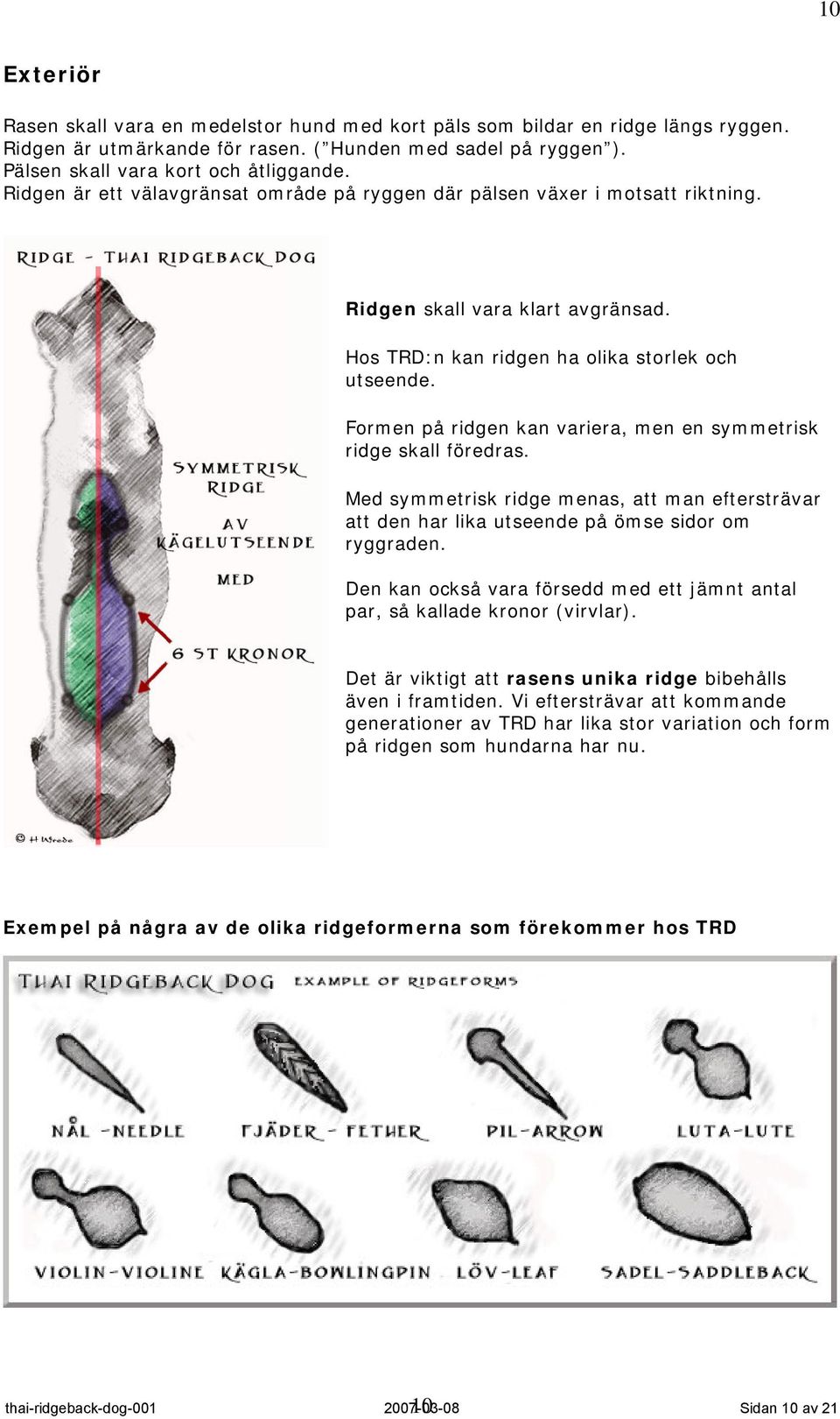 Formen på ridgen kan variera, men en symmetrisk ridge skall föredras. Med symmetrisk ridge menas, att man eftersträvar att den har lika utseende på ömse sidor om ryggraden.