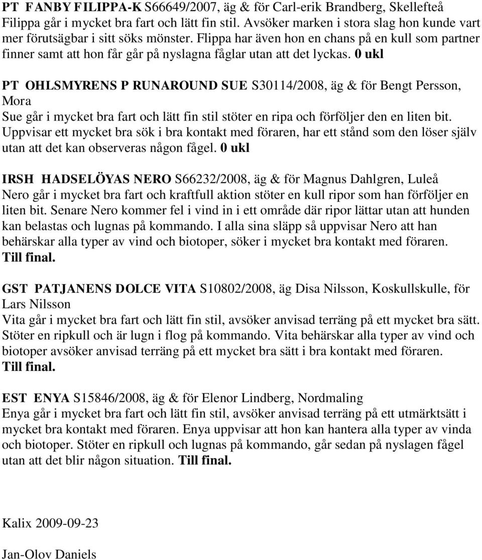 0 ukl PT OHLSMYRENS P RUNAROUND SUE S30114/2008, äg & för Bengt Persson, Mora Sue går i mycket bra fart och lätt fin stil stöter en ripa och förföljer den en liten bit.