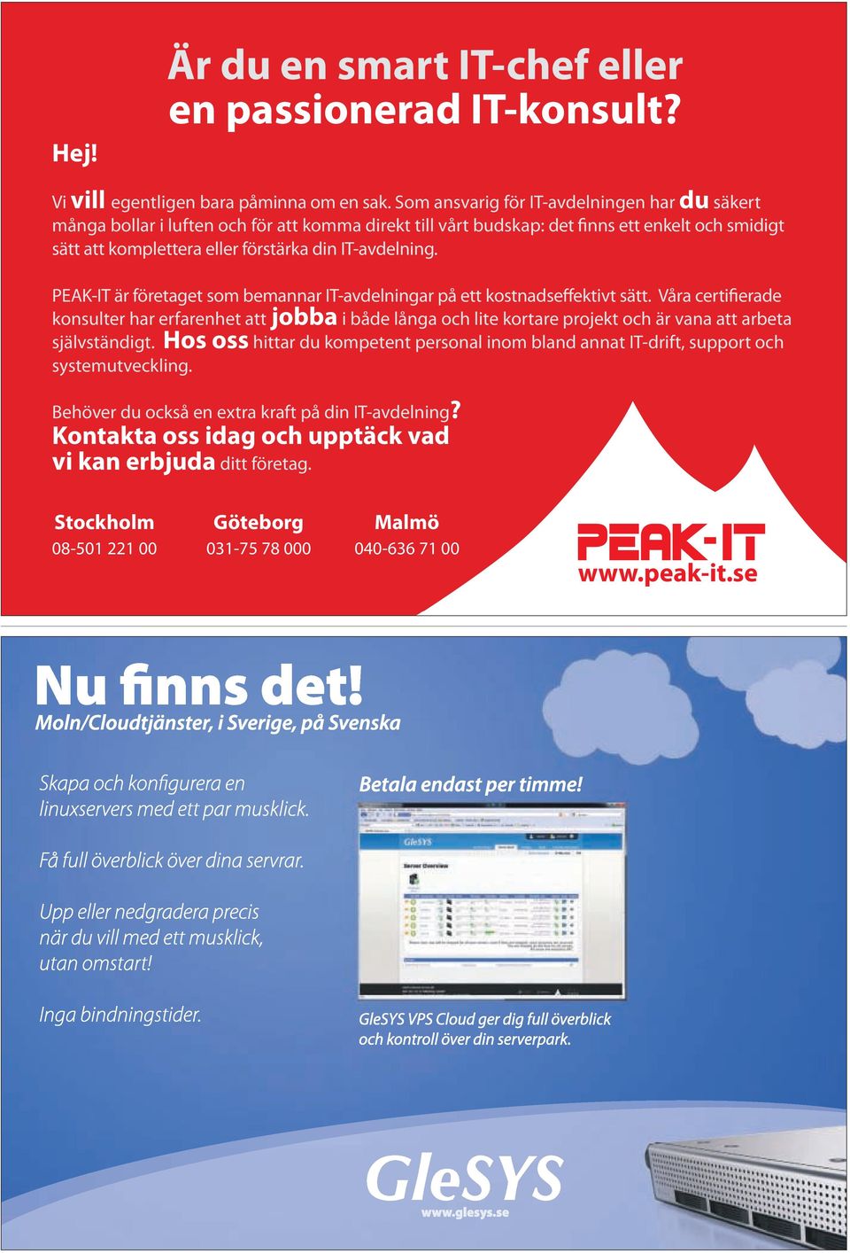 PEAK-IT är företaget som bemannar IT-avdelningar på ett kostnadseffektivt sätt.