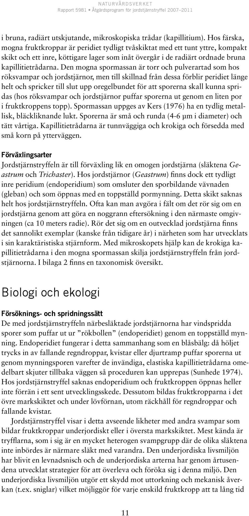 Den mogna spormassan är torr och pulverartad som hos röksvampar och jordstjärnor, men till skillnad från dessa förblir peridiet länge helt och spricker till slut upp oregelbundet för att sporerna