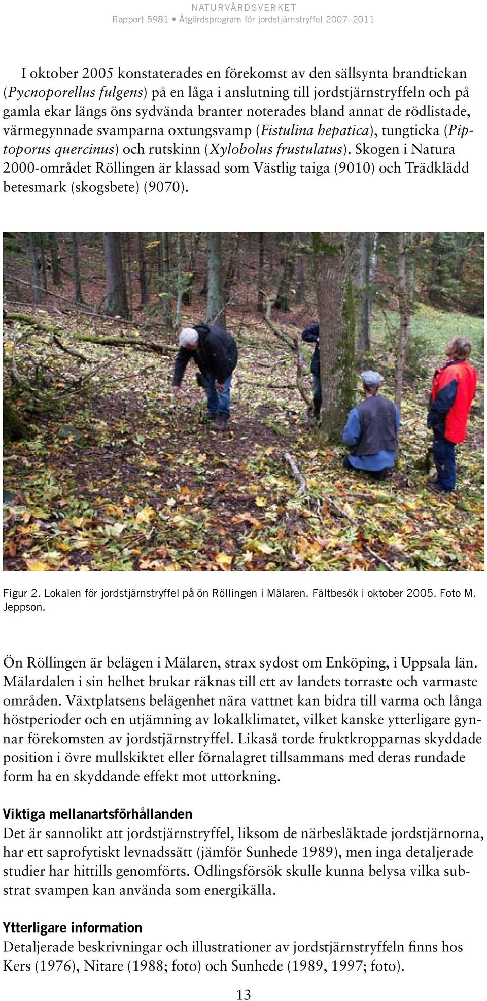 Skogen i Natura 2000-området Röllingen är klassad som Västlig taiga (9010) och Trädklädd betesmark (skogsbete) (9070). Figur 2. Lokalen för jordstjärnstryffel på ön Röllingen i Mälaren.