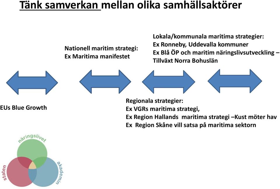 näringslivsutveckling Tillväxt Norra Bohuslän EUs Blue Growth Regionala strategier: Ex VGRs