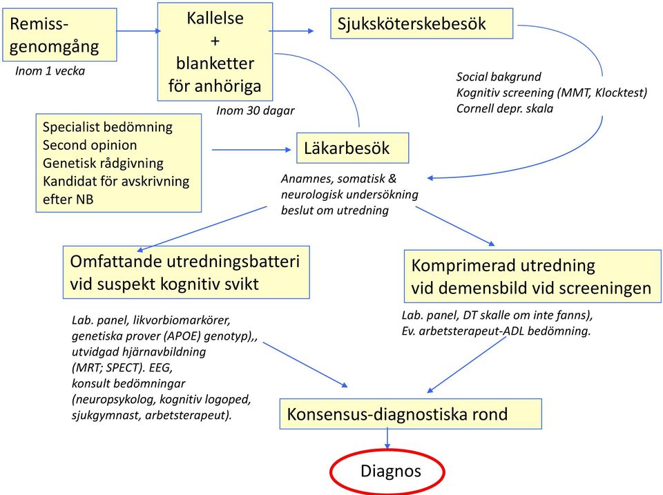 skala Omfattande utredningsbatteri vid suspekt kognitiv svikt Lab. panel, likvorbiomarkörer, genetiska prover (APOE) genotyp),, utvidgad hjärnavbildning (MRT; SPECT).