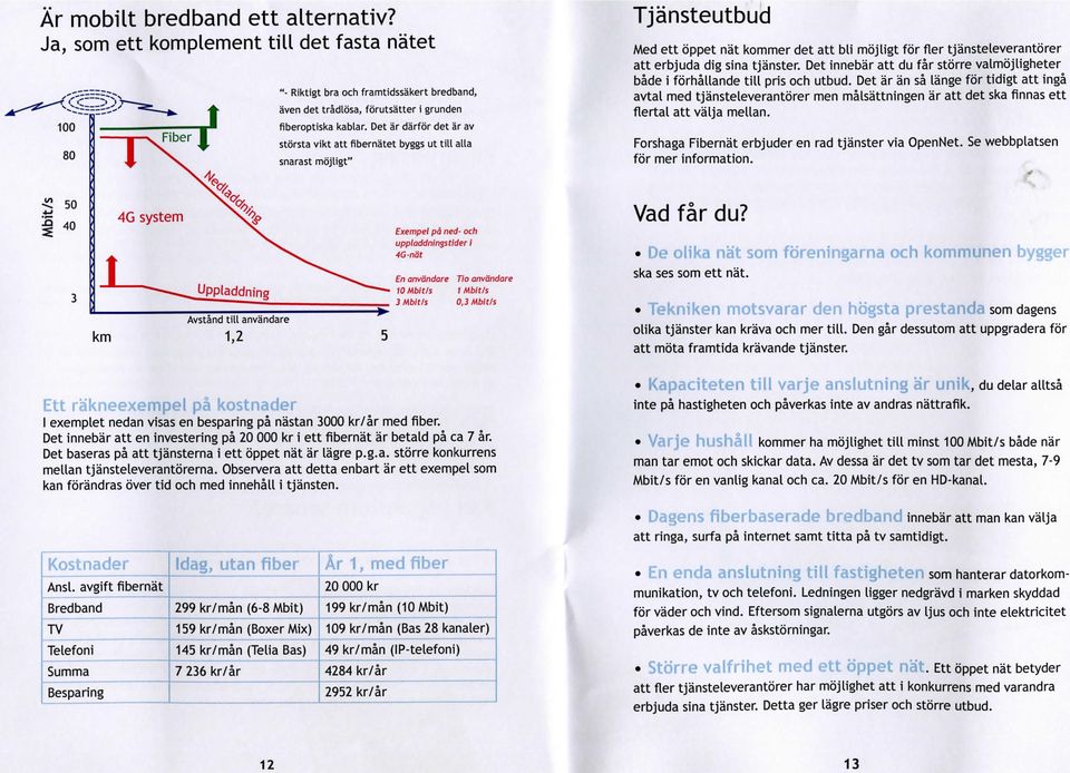 Det ar an sa lange for tidigt att inga avtal med tjansteleverantorer men malsattningen ar att det ska finnas ett flertal att valja mellan. Forshaga Fibernat erbjuder en rad tjanster via OpenNet.