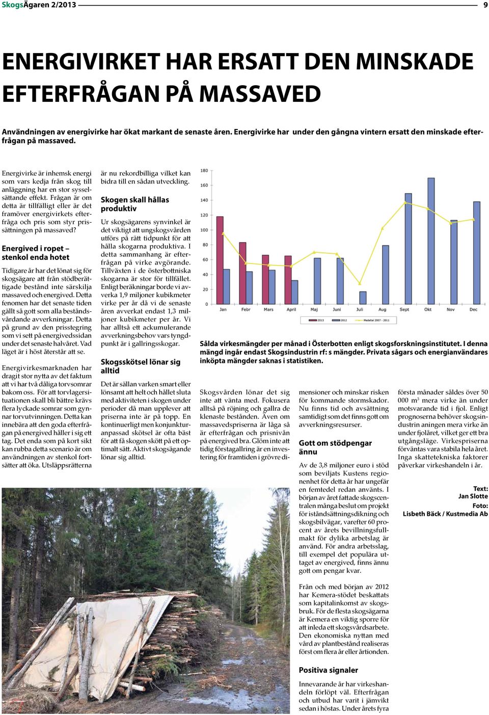 Frågan är om detta är tillfälligt eller är det framöver energivirkets efterfråga och pris som styr prissättningen på massaved?