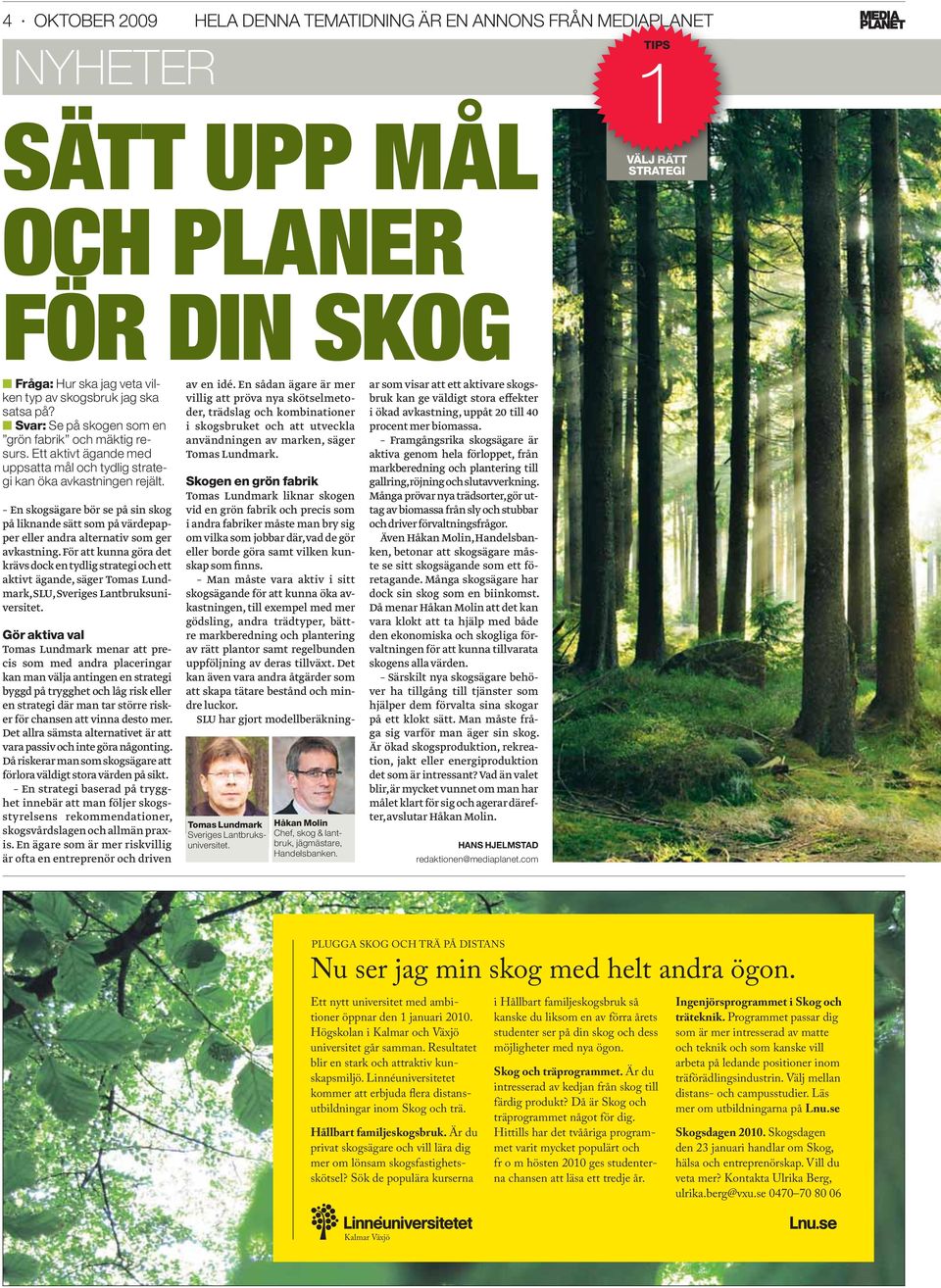 En skogsägare bör se på sin skog på liknande sätt som på värdepapper eller andra alternativ som ger avkastning.