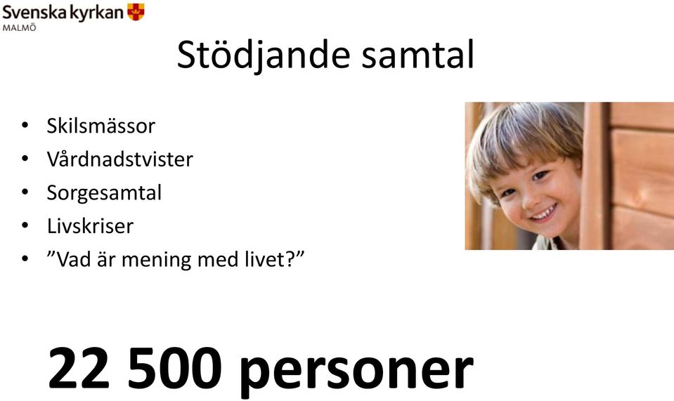 Vårdnadstvister