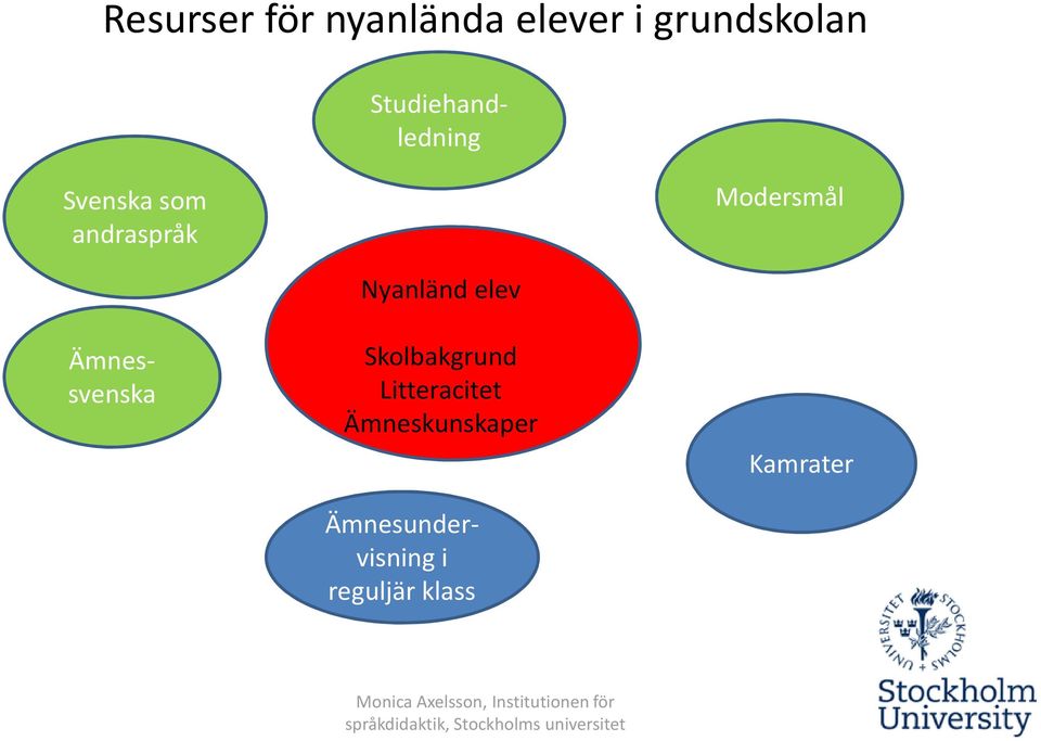 Skolbakgrund Nnyanländ elev Litteracitet Ämneskunskaper