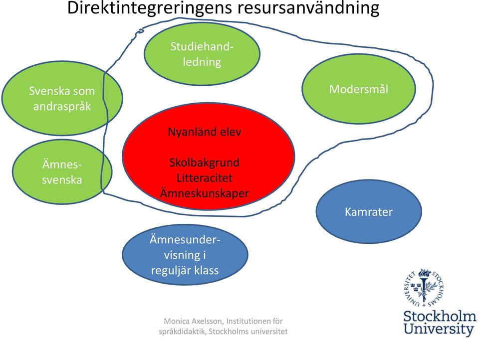 Nnyanländ Skolbakgrund elev Litteracitet