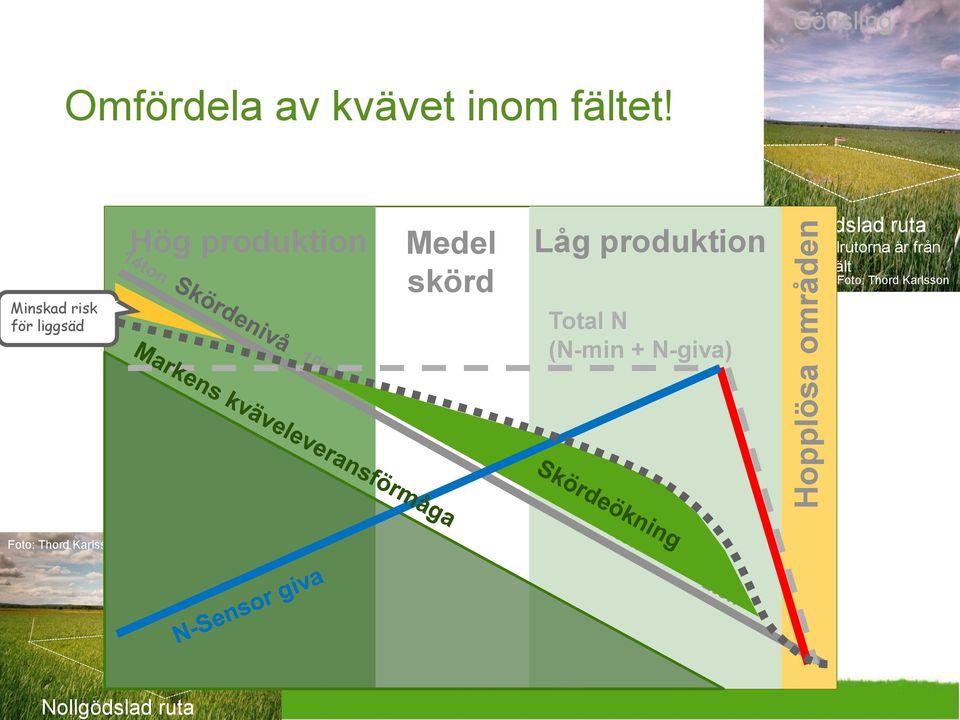 Minskad risk för liggsäd Hög produktion Medel skörd Låg