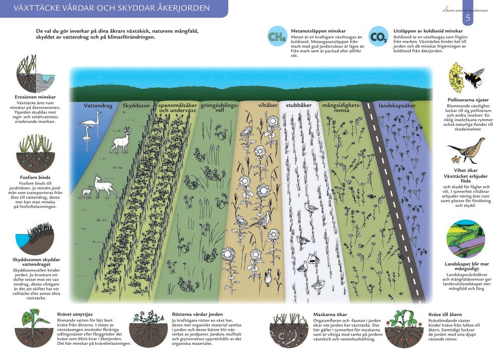 Utsläppen av koldioxid minskar Koldioxid är en växthusgas som frigörs från marken. Växttäcket binder kol till jorden och då minskar frigörningen av koldioxid från åkerjorden.