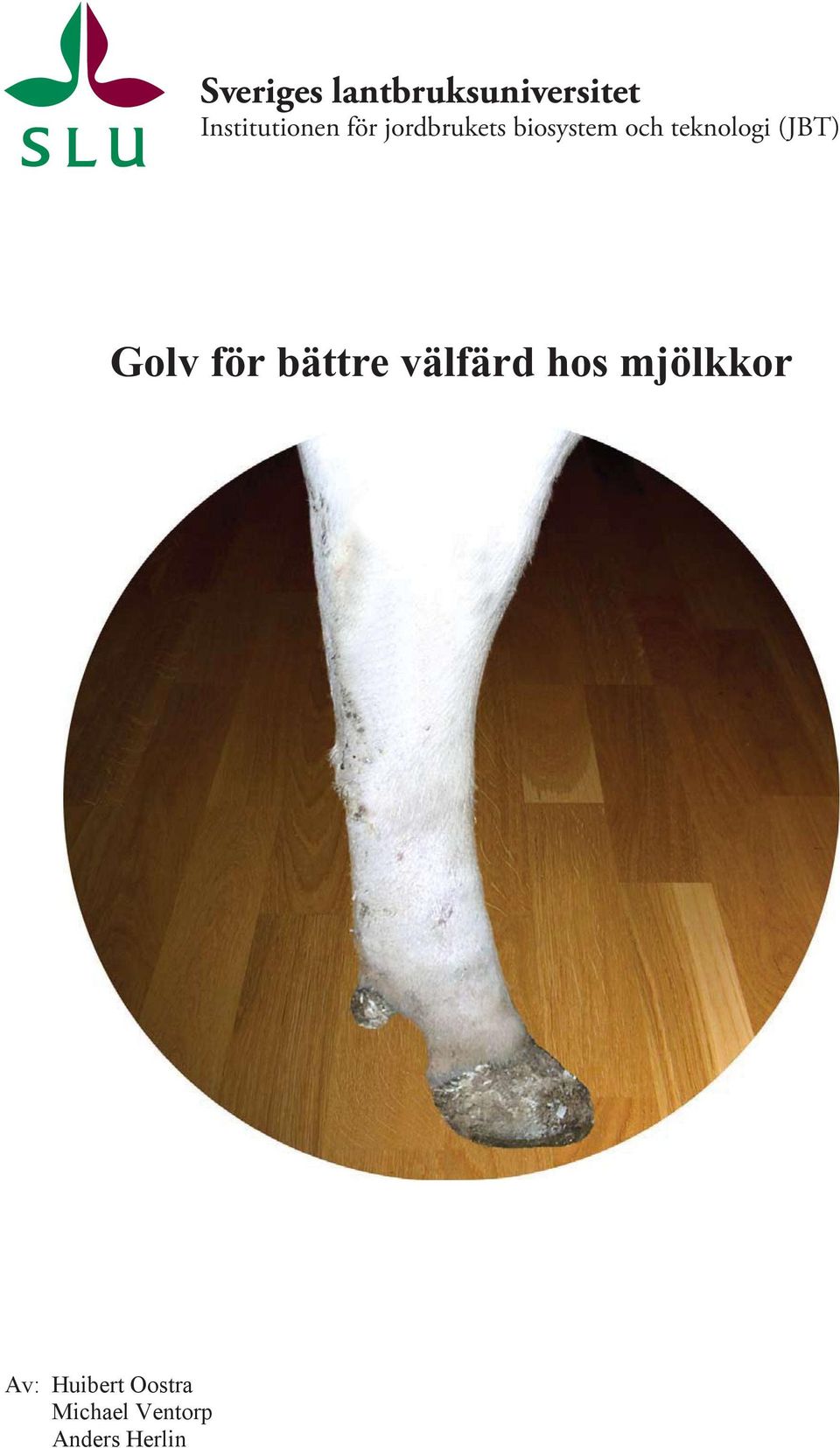 (JBT) Golv för bättre välfärd hos mjölkkor