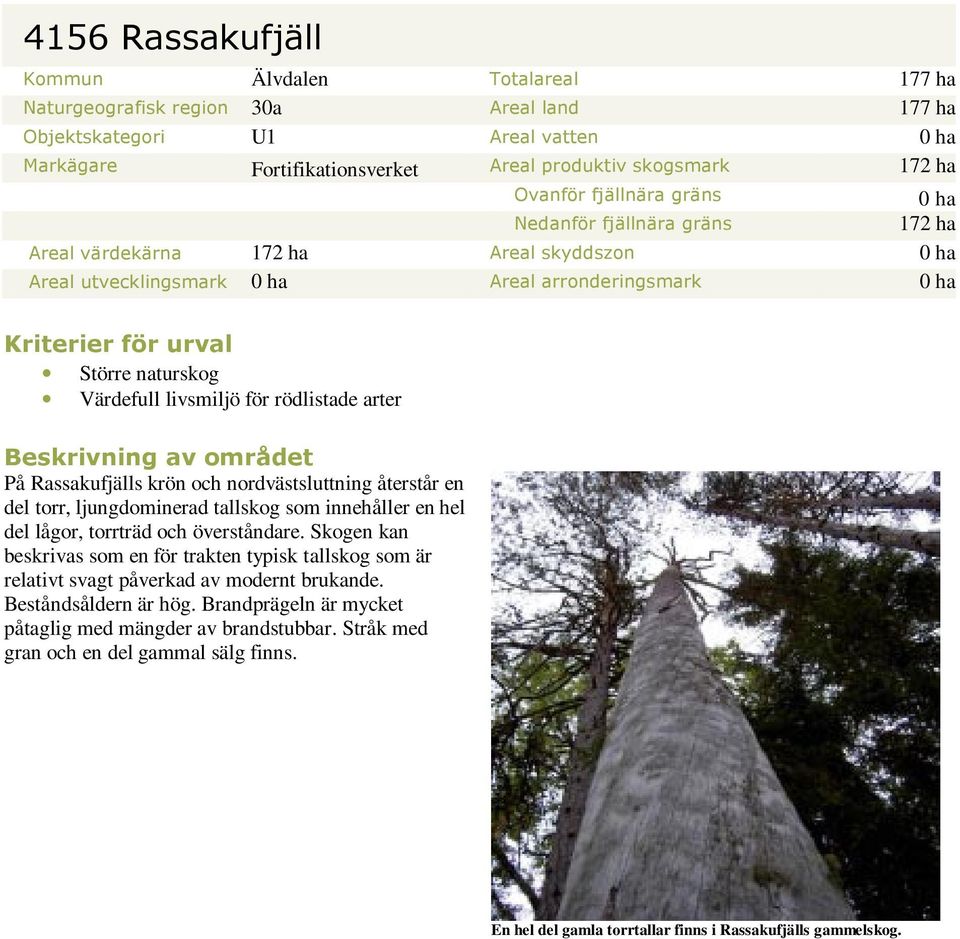 Värdefull livsmiljö för rödlistade arter Beskrivning av området På Rassakufjälls krön och nordvästsluttning återstår en del torr, ljungdominerad tallskog som innehåller en hel del lågor, torrträd och