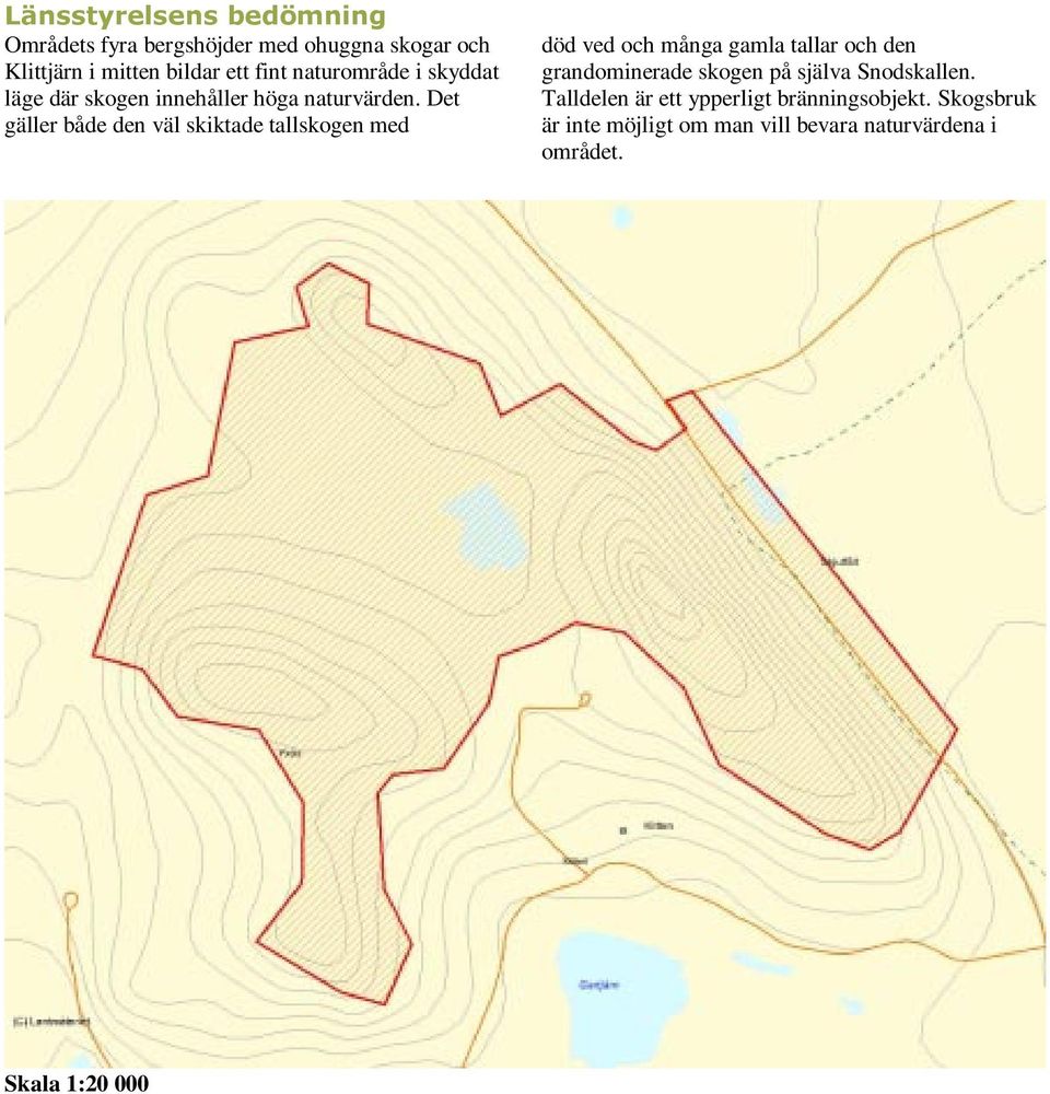 Det gäller både den väl skiktade tallskogen med död ved och många gamla tallar och den grandominerade skogen