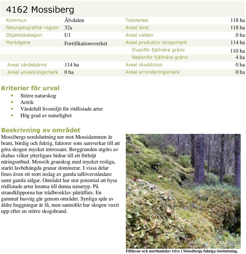 Artrik Värdefull livsmiljö för rödlistade arter Hög grad av naturlighet Beskrivning av området Mossibergs nordsluttning ner mot Mossidammen är brant, bördig och fuktig, faktorer som samverkar till