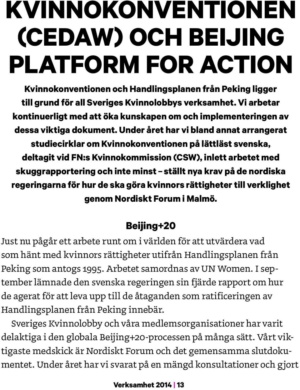 Under året har vi bland annat arrangerat studiecirklar om Kvinnokonventionen på lättläst svenska, deltagit vid FN:s Kvinnokommission (CSW), inlett arbetet med skuggrapportering och inte minst ställt