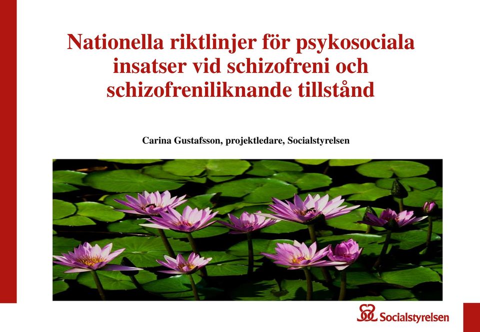 schizofreni och schizofreniliknande