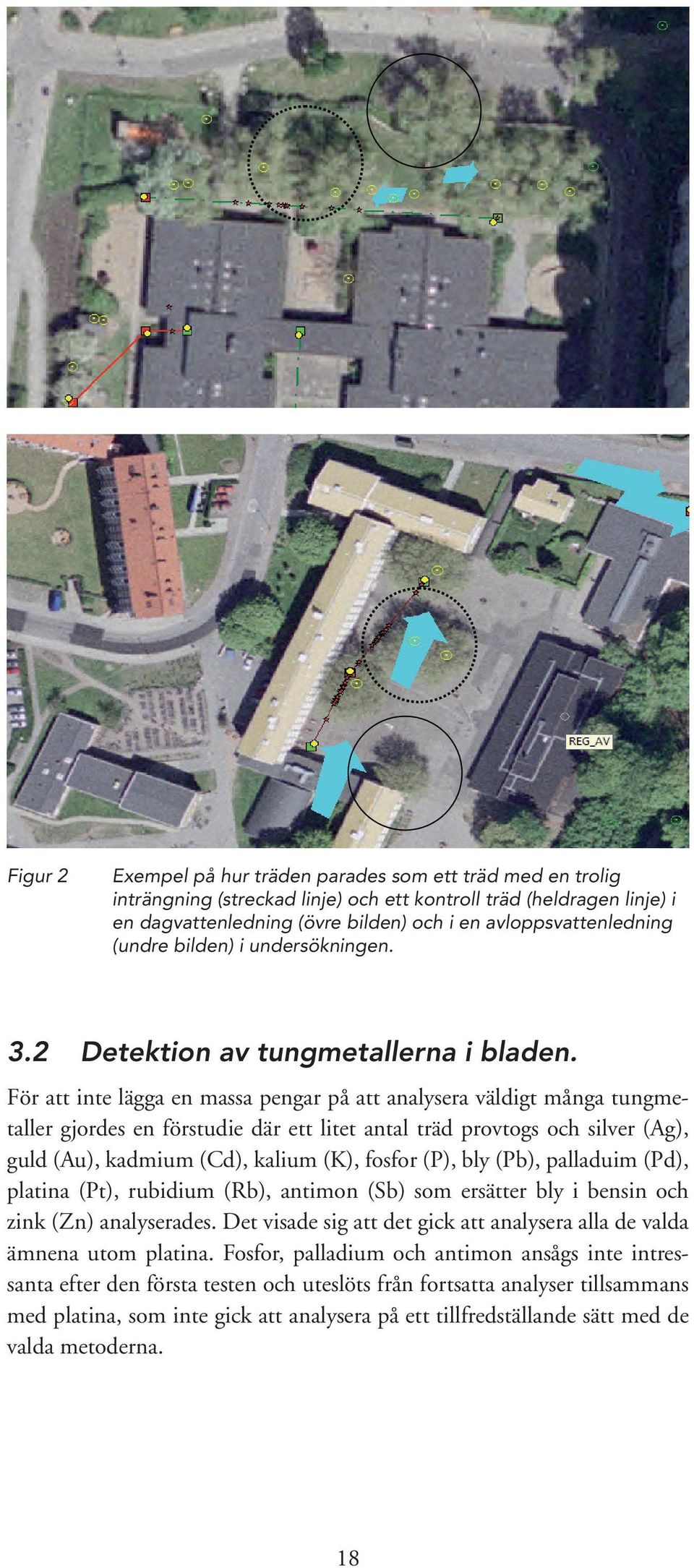 För att inte lägga en massa pengar på att analysera väldigt många tungmetaller gjordes en förstudie där ett litet antal träd provtogs och silver (Ag), guld (Au), kadmium (Cd), kalium (K), fosfor (P),