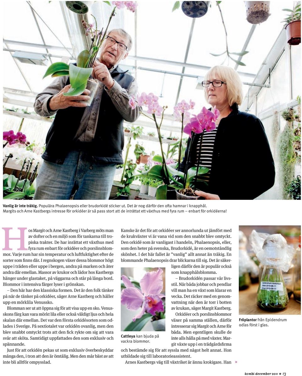 Hos Margit och Arne Kastberg i Varberg möts man av dofter och en miljö som för tankarna till tropiska trakter. De har inrättat ett växthus med fyra rum enbart för orkidéer och porslinsblommor.