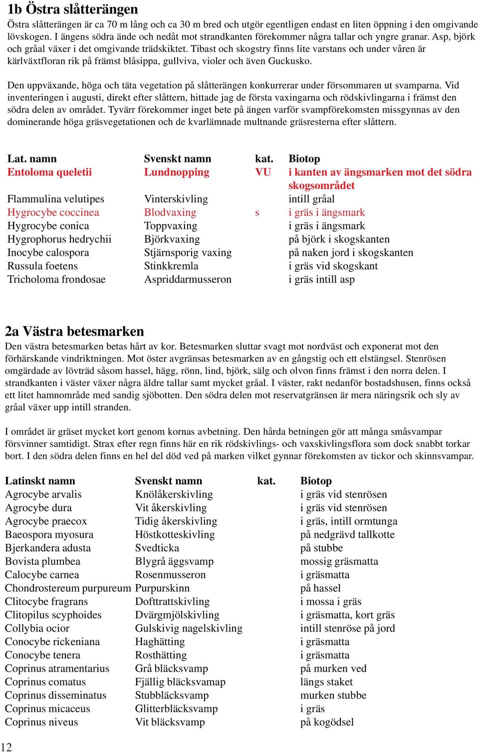 Tibast och skogstry finns lite varstans och under våren är kärlväxtfloran rik på främst blåsippa, gullviva, violer och även Guckusko.