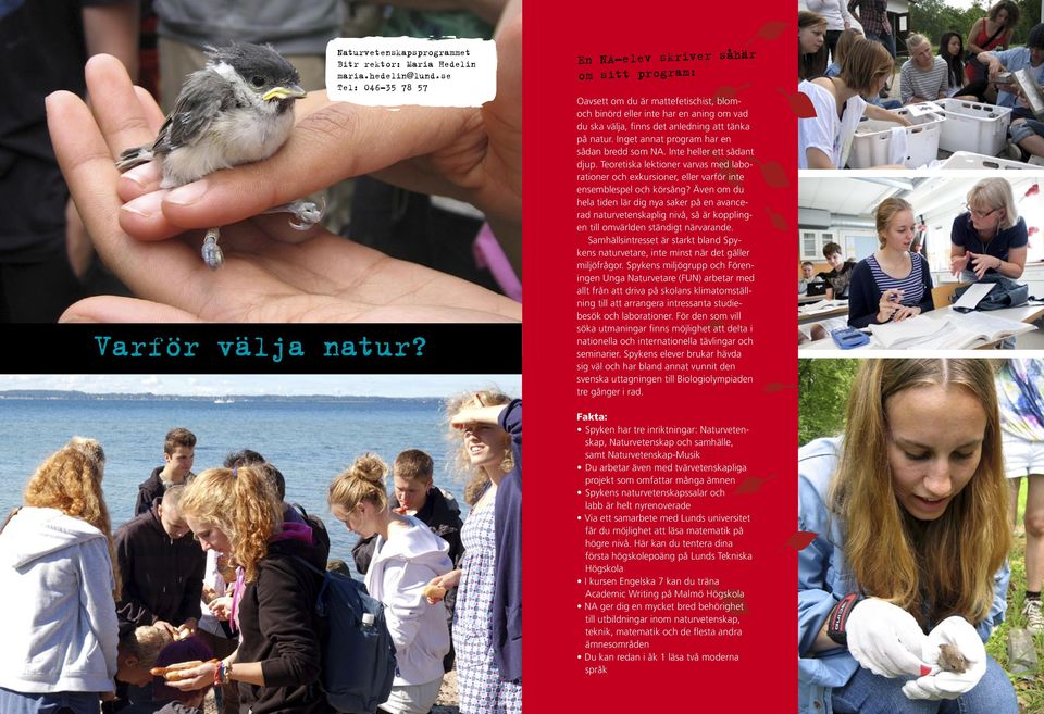 Inget annat program har en sådan bredd som NA. Inte heller ett sådant djup. Teoretiska lektioner varvas med laborationer och exkursioner, eller varför inte ensemblespel och körsång?