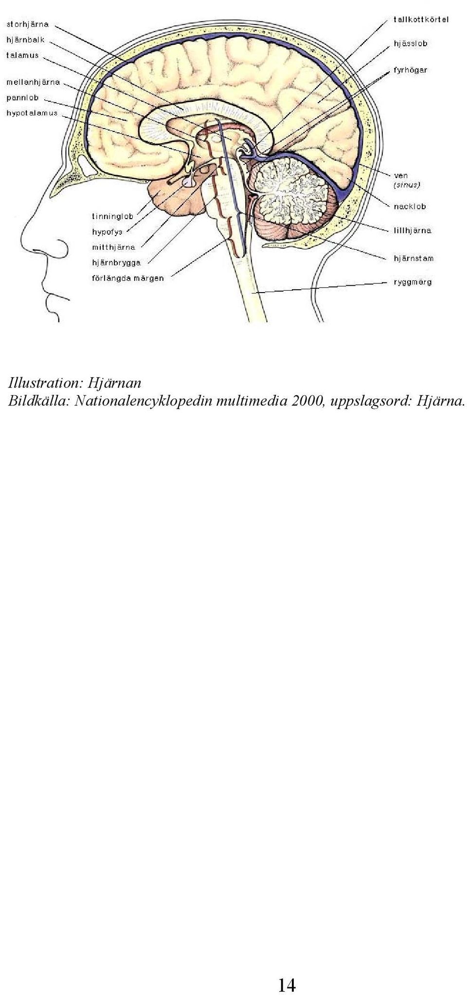 Nationalencyklopedin