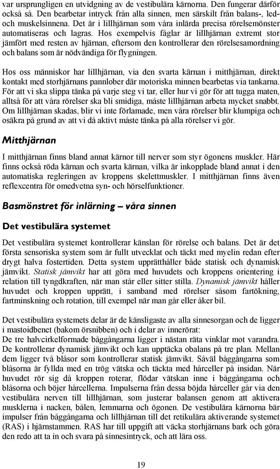 Hos exempelvis fåglar är lillhjärnan extremt stor jämfört med resten av hjärnan, eftersom den kontrollerar den rörelsesamordning och balans som är nödvändiga för flygningen.