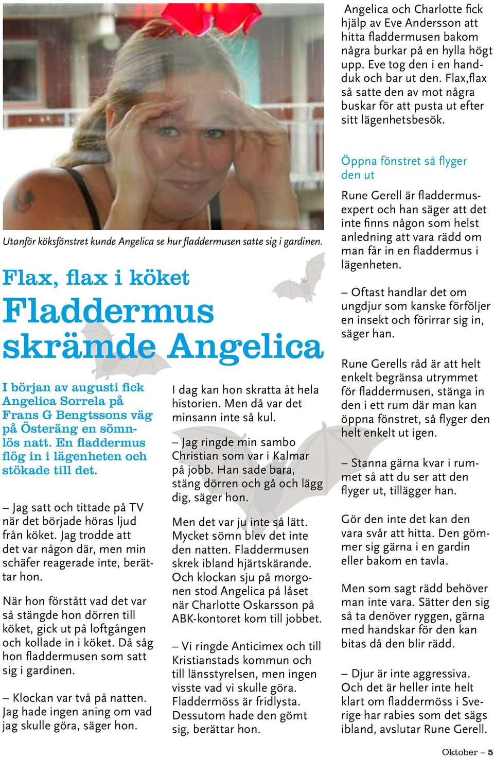 Flax, flax i köket Fladdermus skrämde Angelica I början av augusti fick Angelica Sorrela på Frans G Bengtssons väg på Österäng en sömnlös natt. En fladdermus flög in i lägenheten och stökade till det.