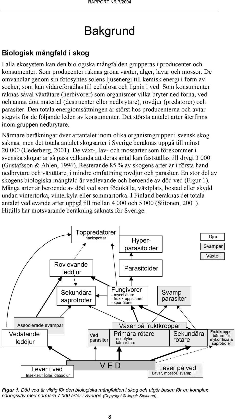 Som konsumenter räknas såväl växtätare (herbivorer) som organismer vilka bryter ned förna, ved och annat dött material (destruenter eller nedbrytare), rovdjur (predatorer) och parasiter.