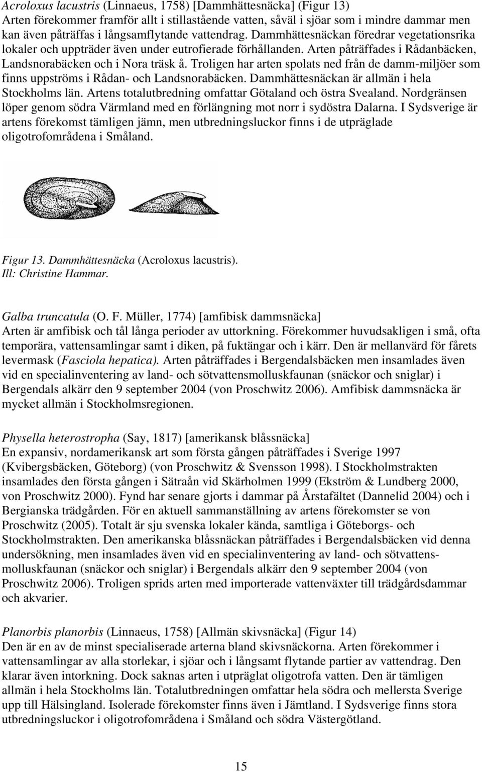 Troligen har arten spolats ned från de damm-miljöer som finns uppströms i Rådan- och Landsnorabäcken. Dammhättesnäckan är allmän i hela Stockholms län.