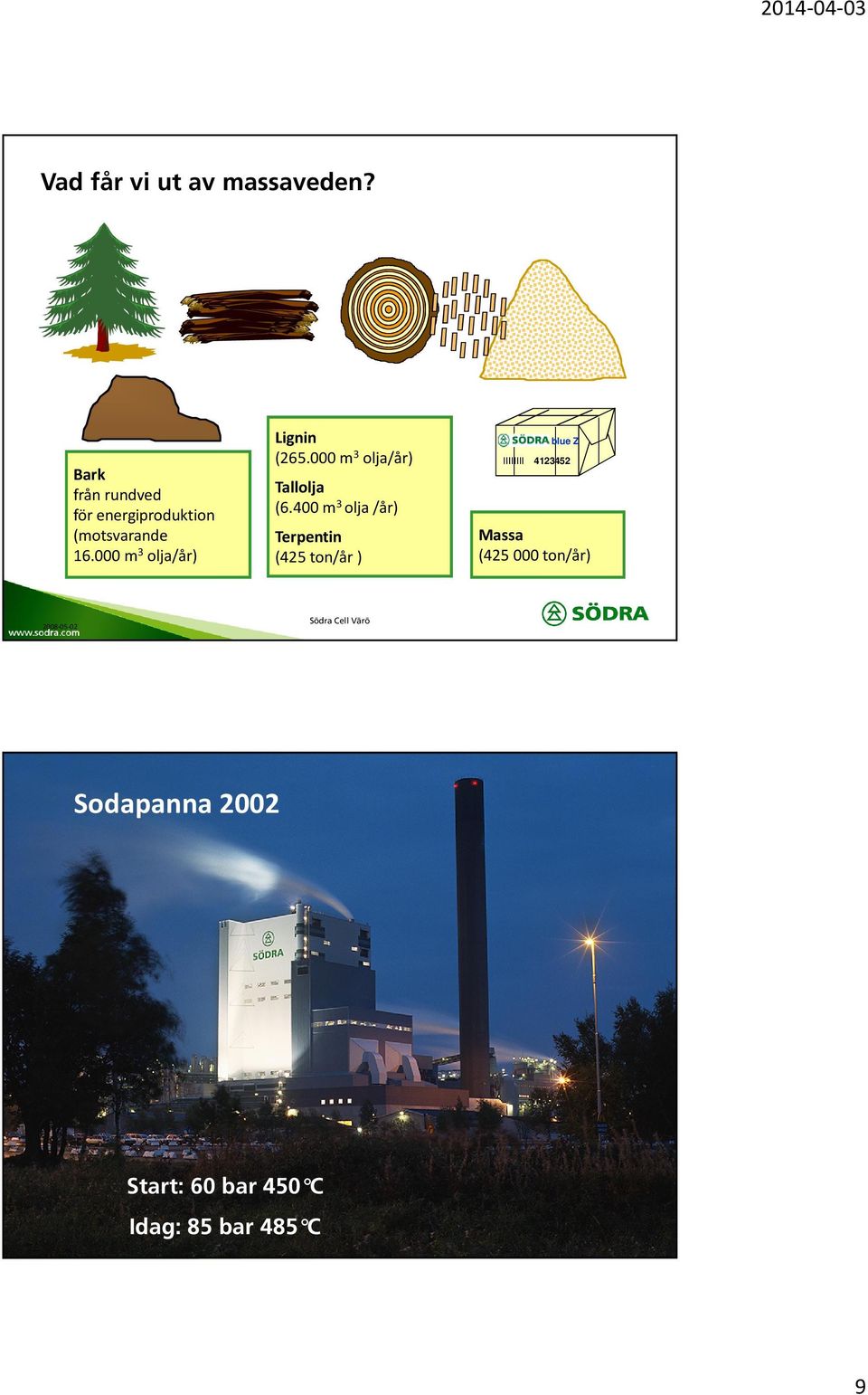 000 m 3 olja/år) Lignin (265.000 m 3 olja/år) Tallolja (6.